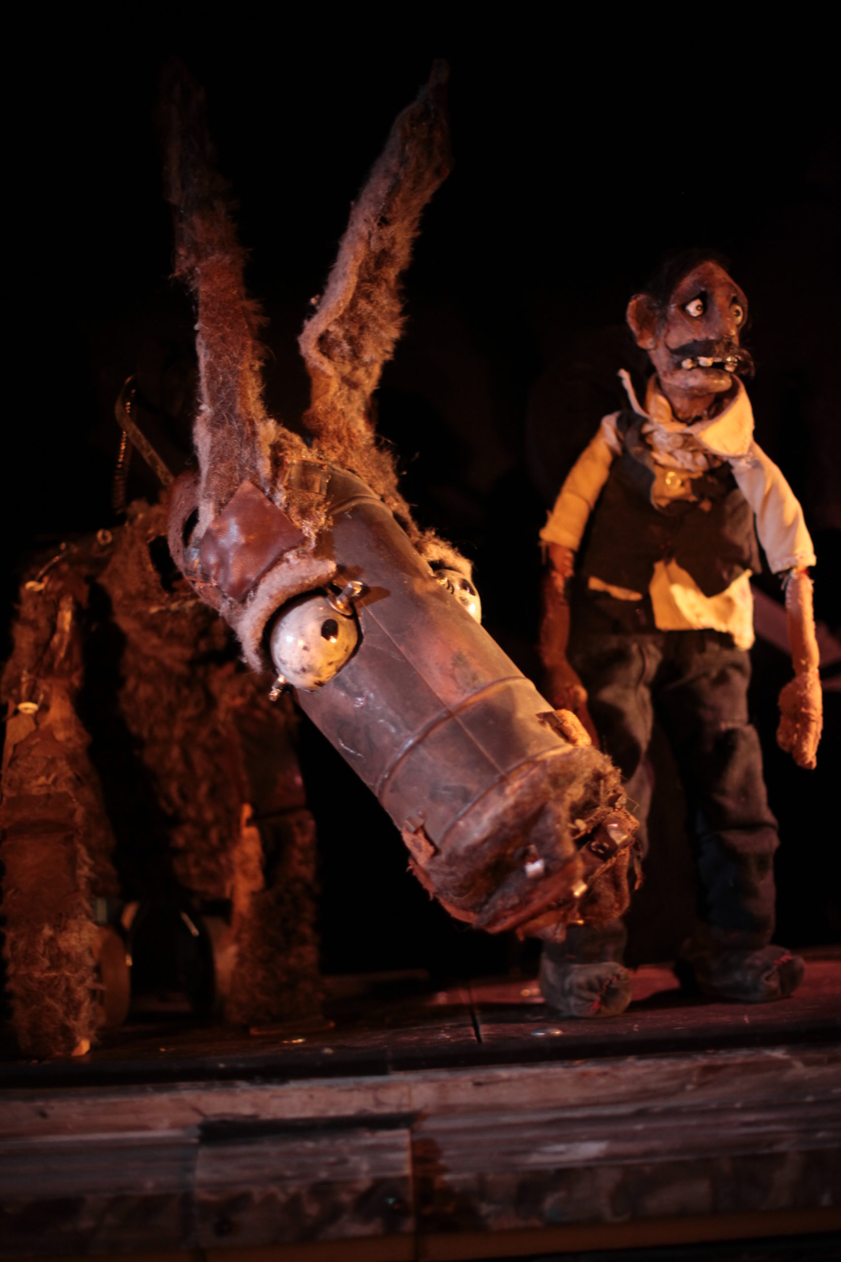 DR Alexandre Moisescot