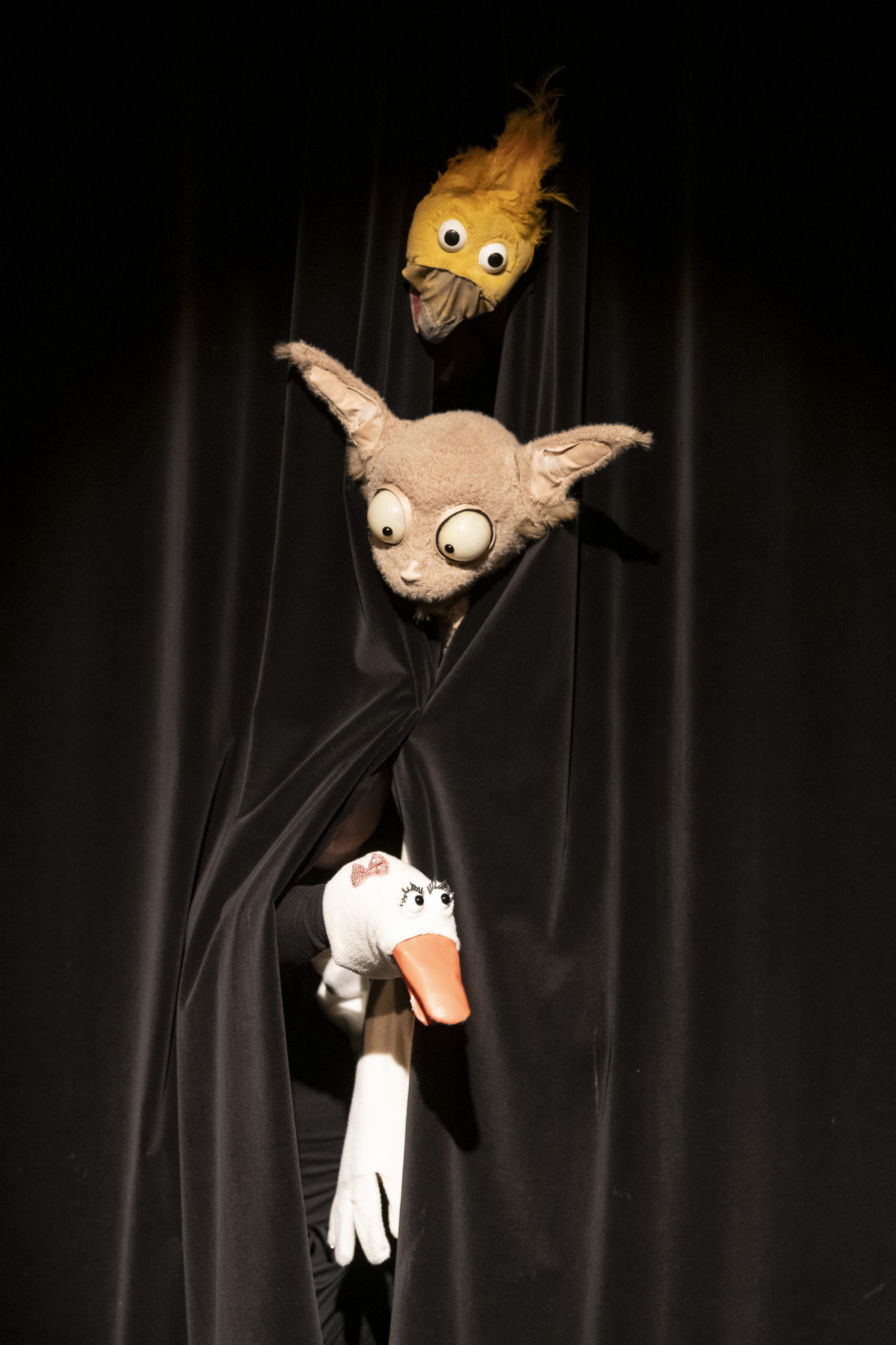 TMG_vilain petit canard_202304©CaroleParodi-0441