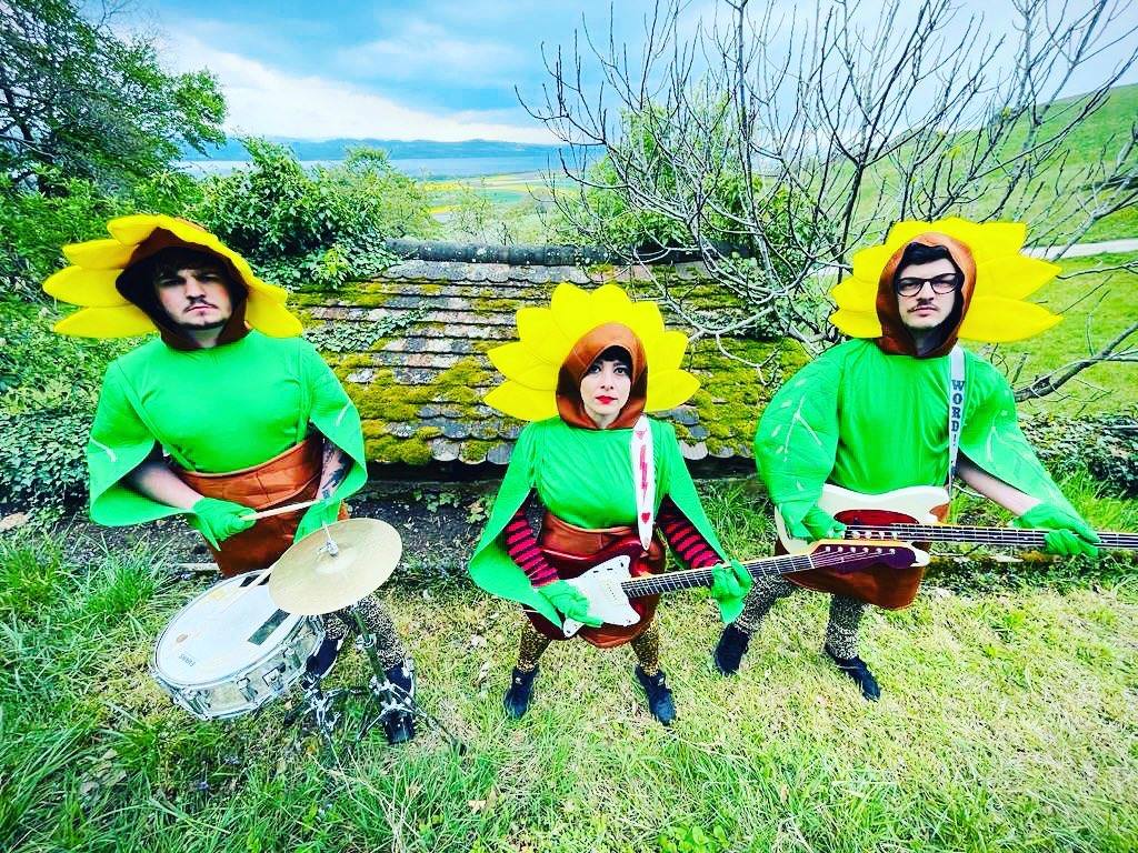 firecult sunflowers by David Basso