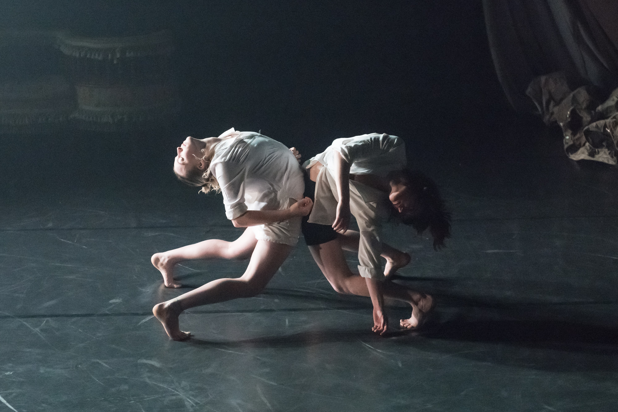 4_Play Dead by People Watching (©)by Alexander Galliez