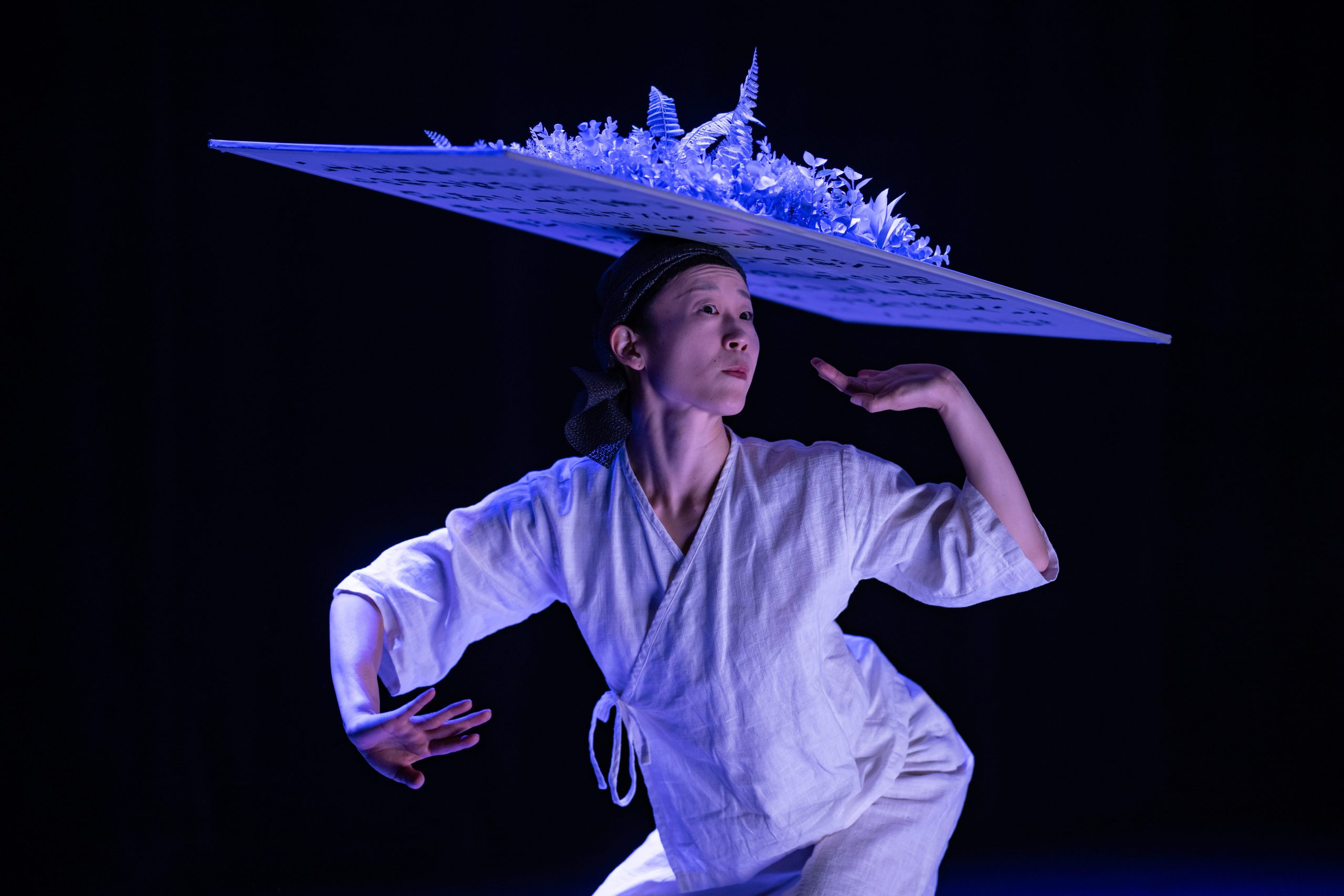 cie_linga_kaguyahime_photo_gregory_batardon_60