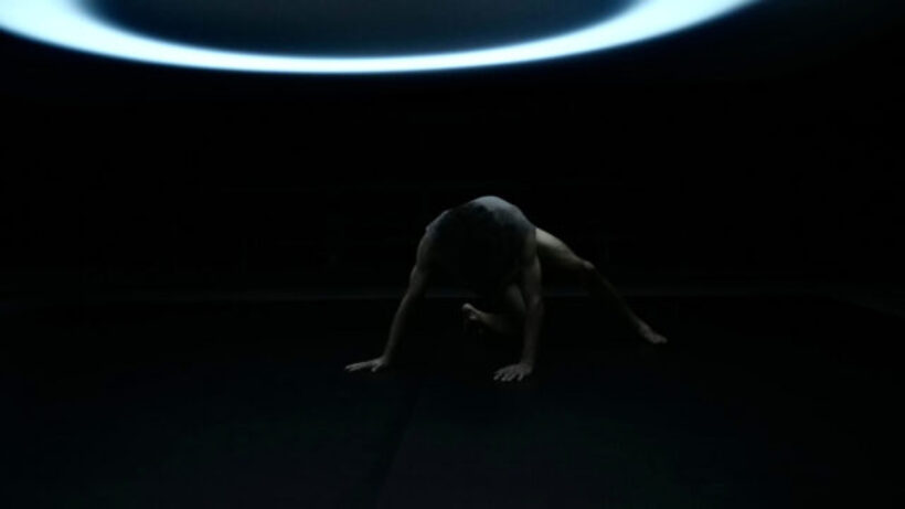 faire_fleurir_c-Hinterland2-640×360